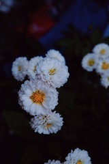 0E96FD38-33A6-4074-BA31-653365C84A80/L0/001