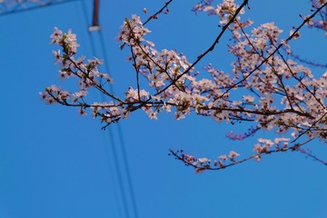 85CD580E-E73D-4002-BC8F-3073B34B6FBD/L0/001