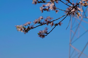 5445EE76-0824-474E-885C-C0C55F630E95/L0/001