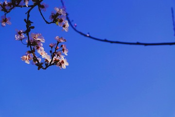 4826CB0E-13FF-48A2-9050-22EF61A6B35F/L0/001