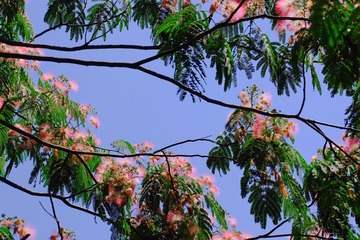EC180519-D1A2-4F88-B4FC-93B24984FED1/L0/001