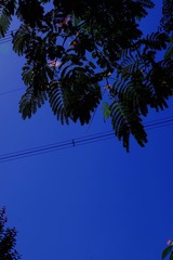 768300CB-6AC0-4151-8AFB-18A0AC868D87/L0/001