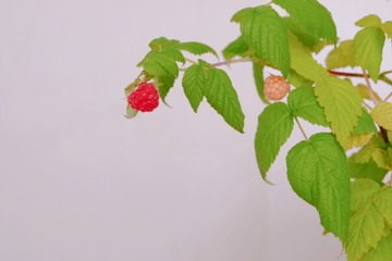 A4608814-349B-4F73-8021-EC1B827A3B1A/L0/001