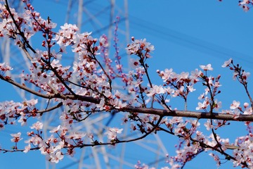 7382A129-2F35-401E-9D0F-9E9B052B0760/L0/001