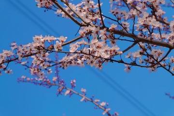 65210DDE-EE81-498A-B480-DB9EE4A66E62/L0/001