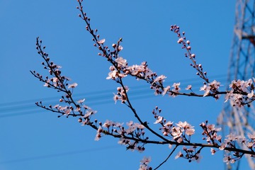 BC5CAC6B-E76F-47F7-A87B-83469A9B61E8/L0/001