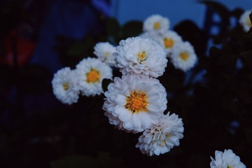 393A29BD-CD63-41B4-A541-0239718FA991/L0/001
