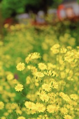 755E2F56-FD25-41CA-AB39-E9D64B9DF135/L0/001