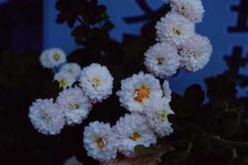 3CB674D6-662E-4BEA-8CB0-D8730C26CB43/L0/001