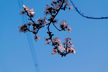 89D665A6-BF12-4380-99B0-F036EEB1D994/L0/001