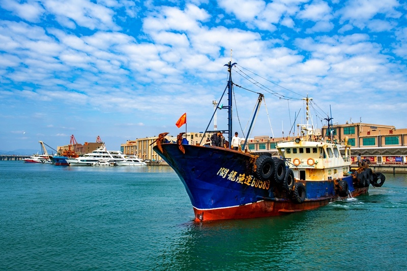 渔船回港鱼获上岸