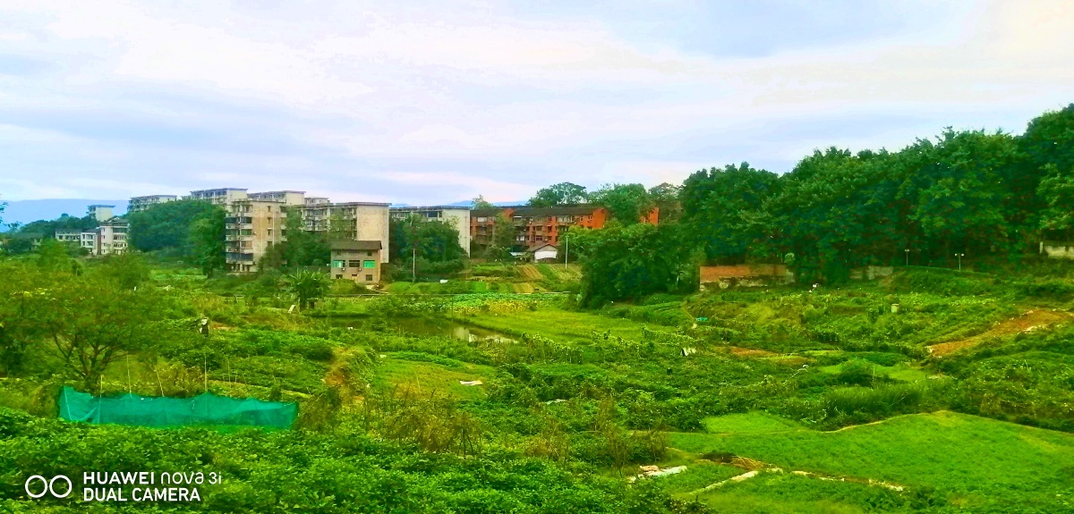 美景太漂亮了,长寿晏家街道川维社区 - 手机拍摄闯哥 - 图虫