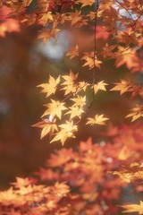 2EB2024D-EDB9-4829-A46F-013EE81AE297/L0/001