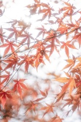 E1AB461F-0C89-4E2C-93CE-6FE191795BB0/L0/001