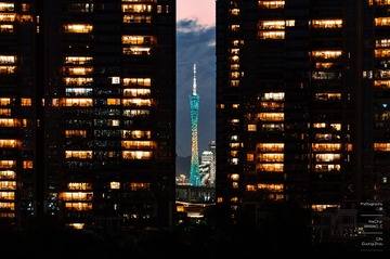 204984