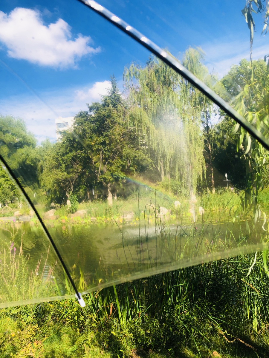 雨后晴空 小树丛中 - 小三大五室速缓 - 图虫
