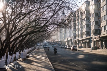 DSC03523-1