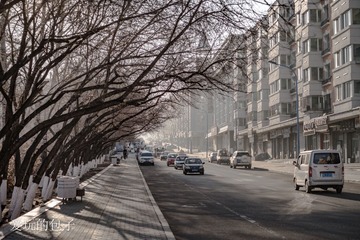 DSC03547-1