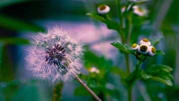 1201012