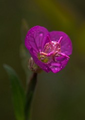 1201005