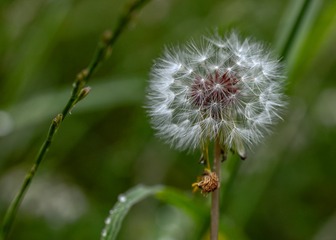 1201007