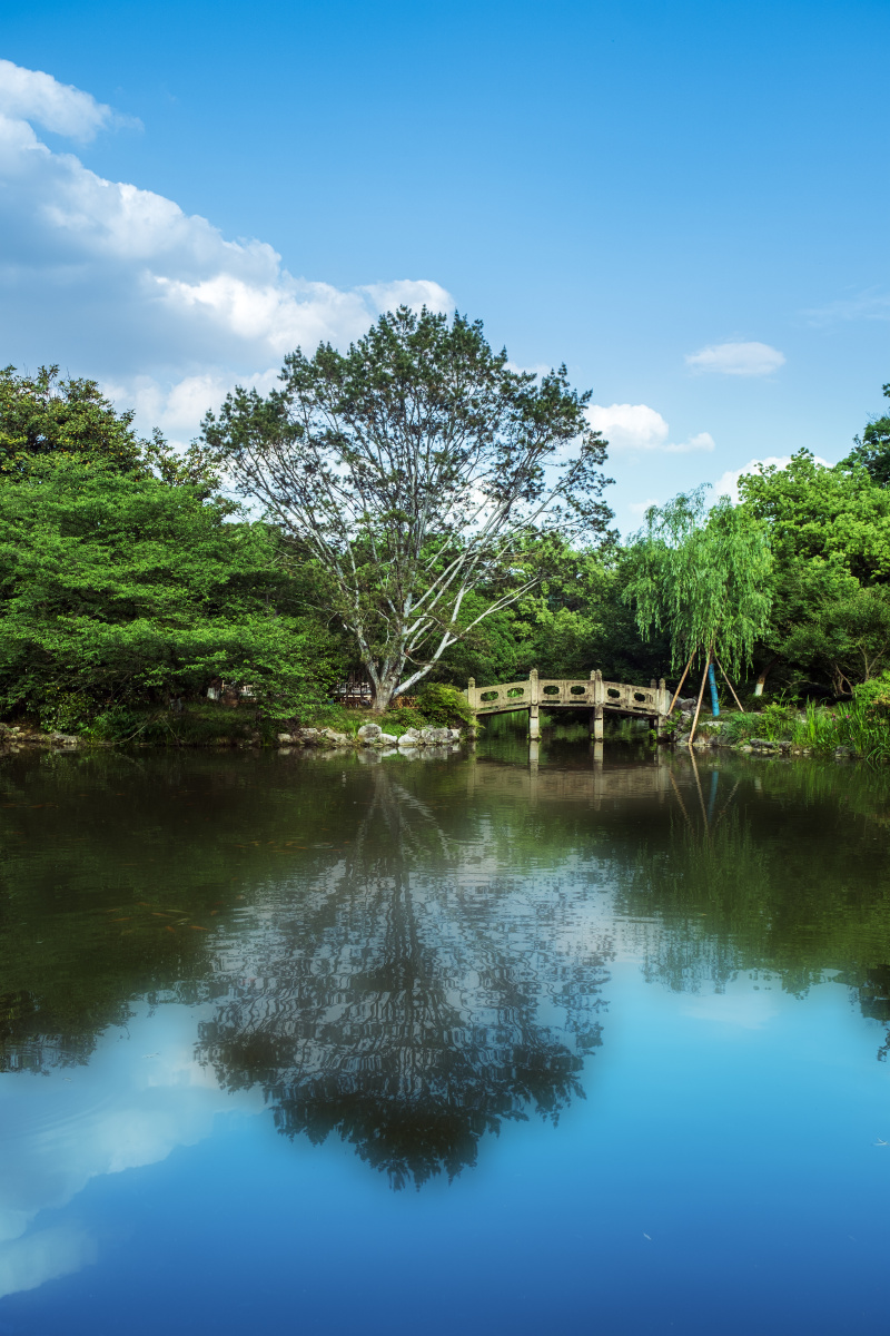 《西湖小景》
