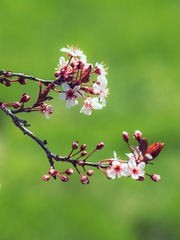 1BC70785-F2D8-4F5F-A26A-94412473431B/L0/001