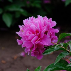 D2666CFC-77B6-42ED-929F-42F31BB10C33/L0/001