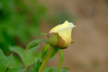 D7A2F154-E791-4B96-B17C-A3DDFB3F6B0A/L0/001