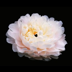 A385F63C-7609-4FA3-B51A-8DBB8EF3617D/L0/001