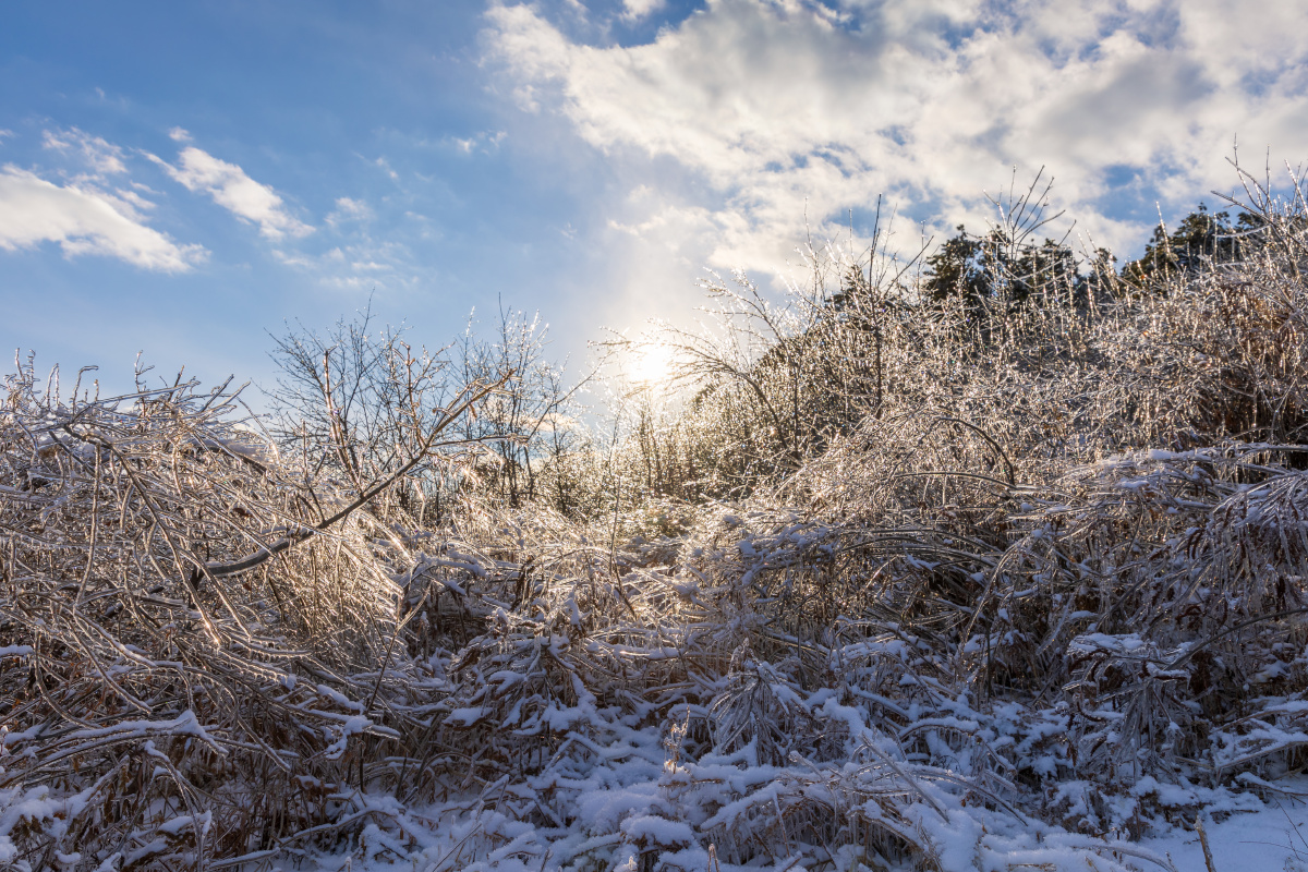 冰雪之后的北方大地
