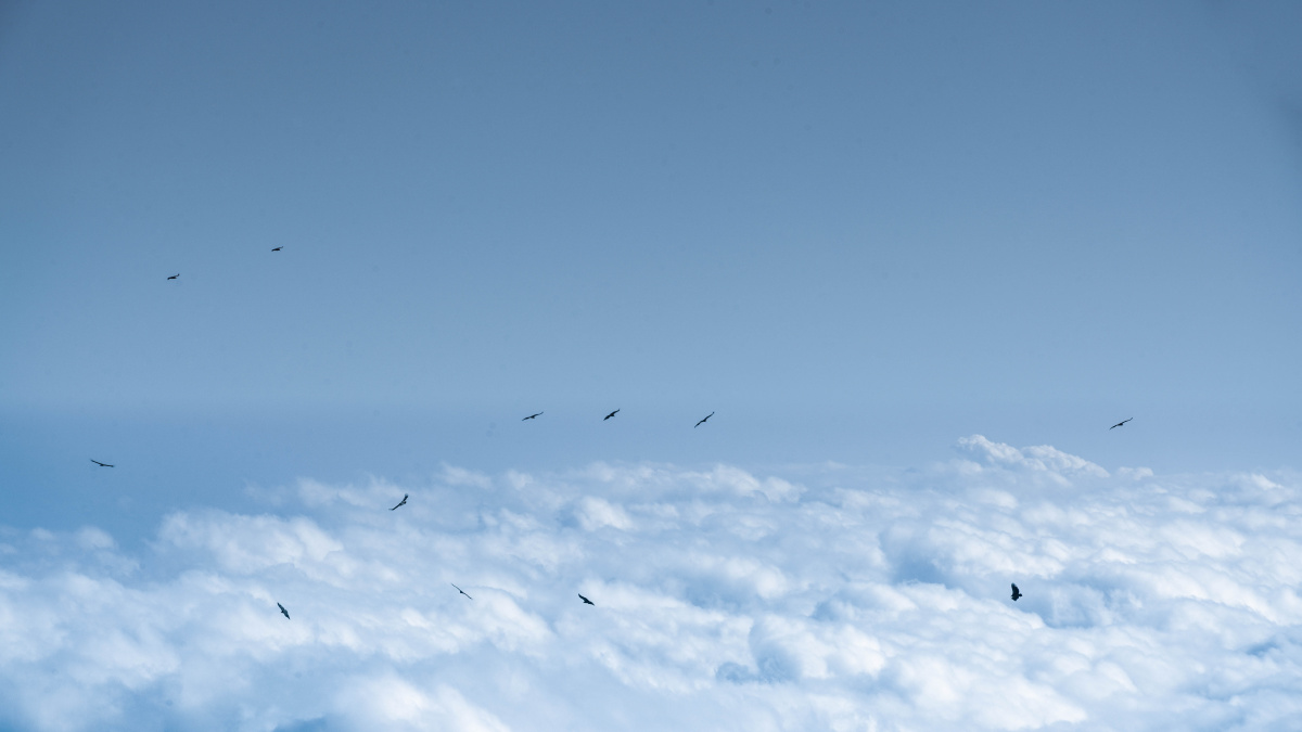 云端之上畅游空天