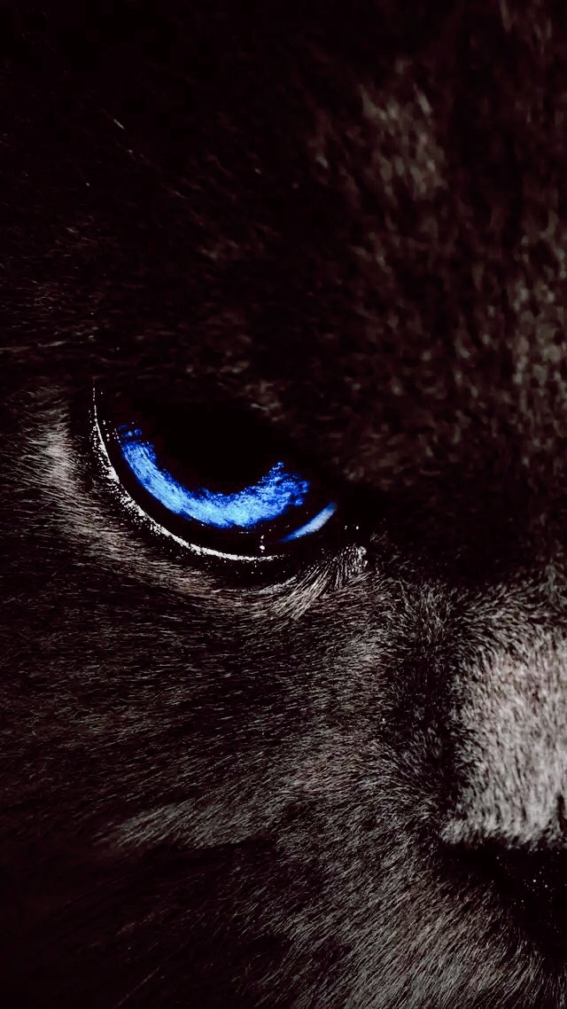 炫酷而又神秘适合做手机壁纸哦