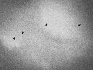 23617039-8AF8-42FC-B249-85C8294F13E2/L0/001
