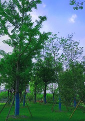 8316F06E-09EB-45D2-9864-83BDECA695D7/L0/001