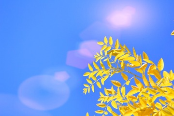88551