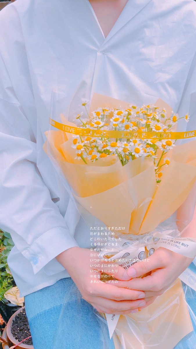 初夏时干净的白衬衫和满目温柔的花