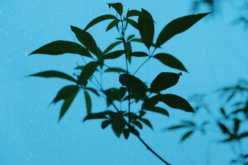 9FBD2E9B-9455-4D6A-98FE-C30425C7FD47/L0/001