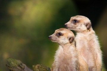 CRW_0546