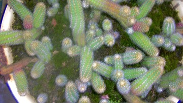 C0992839-C018-4F17-AFF7-F0FAD17BA676/L0/001