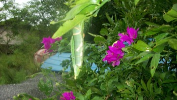 031BD3F9-28A0-496B-9EE2-7008B853F85B/L0/001