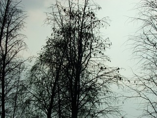 238FDE2E-9CA1-4664-8216-0F45EA1B8852/L0/001