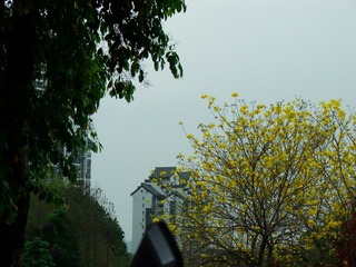 37F00385-FB1B-4546-A6C3-2114D110DF03/L0/001