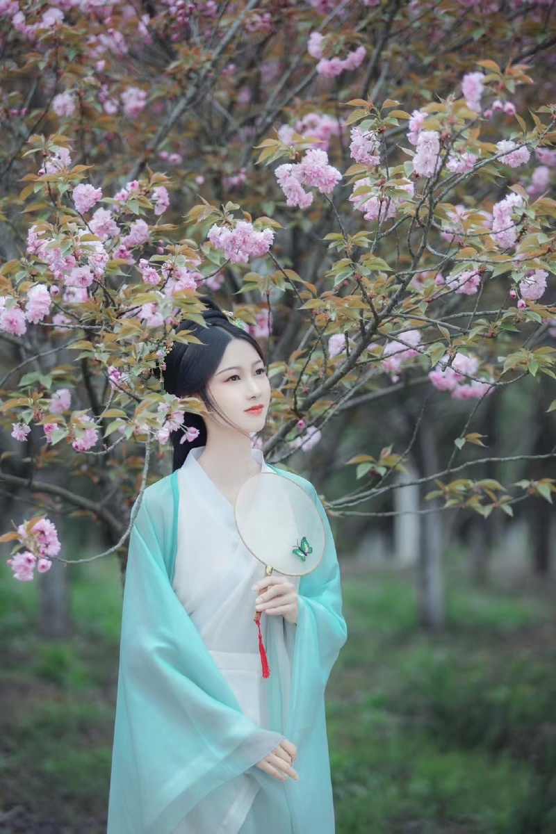 仙子入凡尘67樱花树下停春尽夏将至缘何不见君