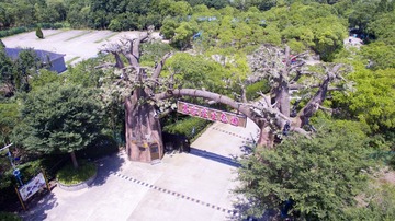 DJI_0023