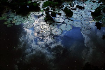 中山大学 东湖