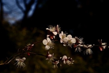 7F6B0A60-D5AF-47AA-8E60-83D302F01361/L0/001