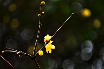 4B58760C-1E6B-4957-95F4-97EE597F671D/L0/001