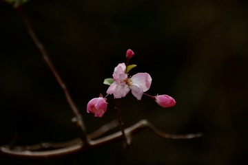 001
