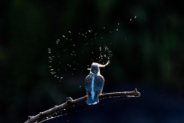 001